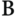 salonbeautyspb.ru favicon
