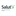 salutv.ru favicon