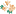 sc-dental.com favicon