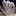 school1231.ru favicon