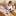 schoolofcuriosity.ru favicon