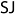 sciencejour.ru favicon