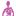scopula.ru favicon