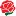 sdwomen.ru favicon