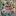 seashell-suvenir.ru favicon
