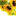semechka-optom.ru favicon