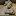 semionshmelkov.ru favicon