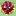 seosprint25.ru favicon