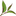 shantiasia.ru favicon
