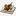 shashlykhaus.ru favicon