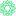 shelyakov.ru favicon