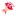 sheyanova.ru favicon