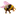 shmel.org favicon
