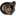 shop-bear.ru favicon
