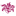 siame.ru favicon