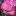 sibroza.ru favicon