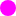 sitetime.ru favicon