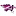 skofd.ru favicon