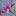 snt-bagulnik.ru favicon