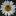 sokolovateacher.ru favicon