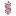 soldayahotel.com favicon