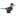 soyka.rest favicon