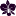 spa-orchid.ru favicon