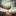 spaceid.ru favicon