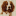 spanieli-podolsk.ru favicon