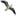 spb-teplohod.ru favicon