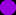 squirrle.ru favicon