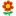 sredi-cvetov.ru favicon