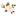 startradiz.ru favicon