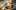 stfasad.ru favicon