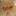 stimka.ru favicon