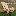 stolarmast.ru favicon