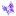 studio-nelly.ru favicon