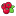 studiya-cvetov-brusnika.ru favicon