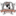 suharikispb.ru favicon