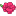 superbuketspb.ru favicon