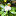 svetlanahouse.ru favicon