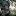 svetlichnayaphoto.ru favicon