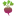 talionspb.ru favicon
