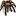 tarantulas.su favicon