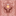 tarotprague.ru favicon