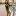 tatyanavoronova.ru favicon