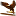 taxiderm.ru favicon