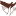 teatrkukol-orel.ru favicon