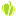 technicoflor.ru favicon