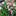teplichnyigovorun.ru favicon
